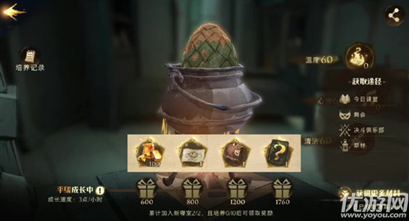 哈利波特魔法觉醒寝室龙蛋怎么养 寝室龙蛋养成攻略