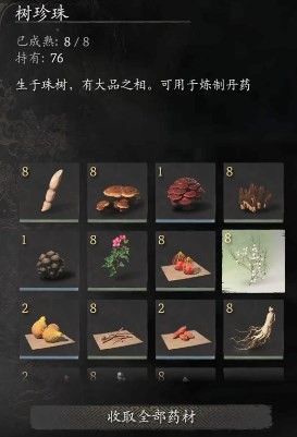 黑神话悟空树珍珠在哪获得 黑神话悟空树珍珠位置